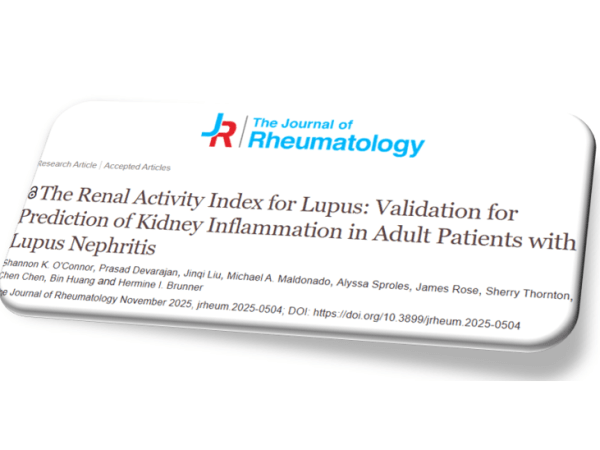 Renal Acitivity Index for Lupus (RAIL) Berpotensi sebagai Prediktor Respon Terapi Pasien Dewasa dengan Lupus&nbsp;Nefritis